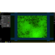 Sartorius Essen IncuCyte S3 Live-Cell Imaging and Analysis System w/ G/R Optical Module unit 3