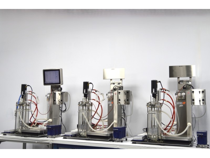 Infors HT Labfors 5 Bench-Top Bioreactor System for Microorganisms 3-Fold, Jacketed 3.6 L Vessels