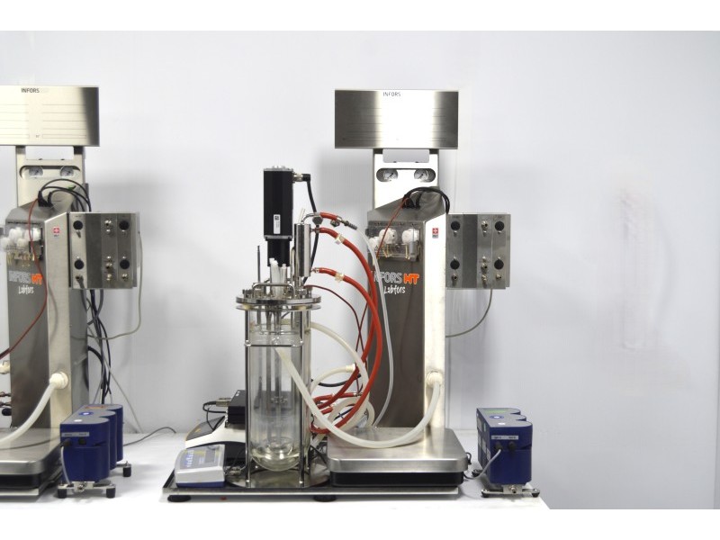 Infors HT Labfors 5 Bench-Top Bioreactor System for Microorganisms 3-Fold, Jacketed 3.6 L Vessels
