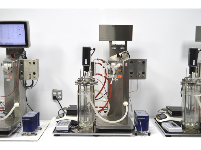 Infors HT Labfors 5 Bench-Top Bioreactor System for Microorganisms 3-Fold, Jacketed 3.6 L Vessels
