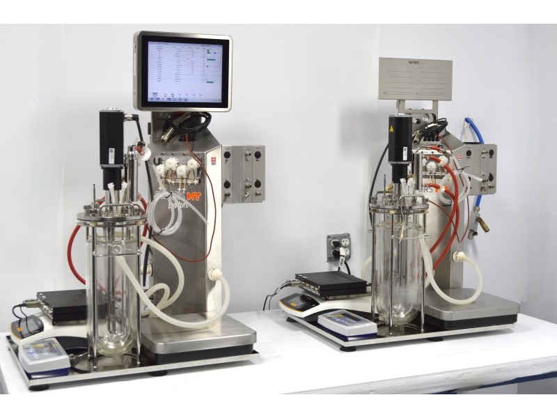 Infors HT Labfors 5 Bench-Top Bioreactor System for Microorganisms 2-Fold, Jacketed 3.6 L Vessels