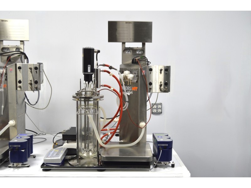 Infors HT Labfors 5 3-Fold Bench-Top Bioreactor System with 3.6 L Jacketed Vessels, Integrated Gas Mixing & Off-Gas Analysis