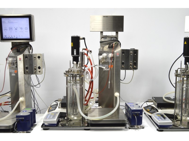 Infors HT Labfors 5 3-Fold Bench-Top Bioreactor System with 3.6 L Jacketed Vessels, Integrated Gas Mixing & Off-Gas Analysis