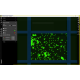 Sartorius Essen IncuCyte S3 Live-Cell Imaging and Analysis System w/ G/R Optical Module unit 4