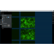 Sartorius Essen IncuCyte S3 Live-Cell Imaging and Analysis System w/ G/R Optical Module