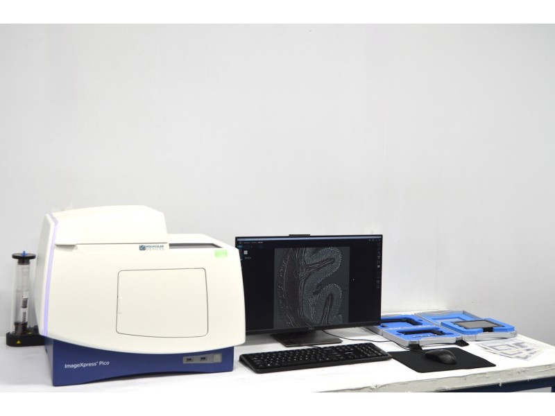 Molecular Devices ImageXpress Pico Automated Cell Imaging System w/ Environmental Control Option